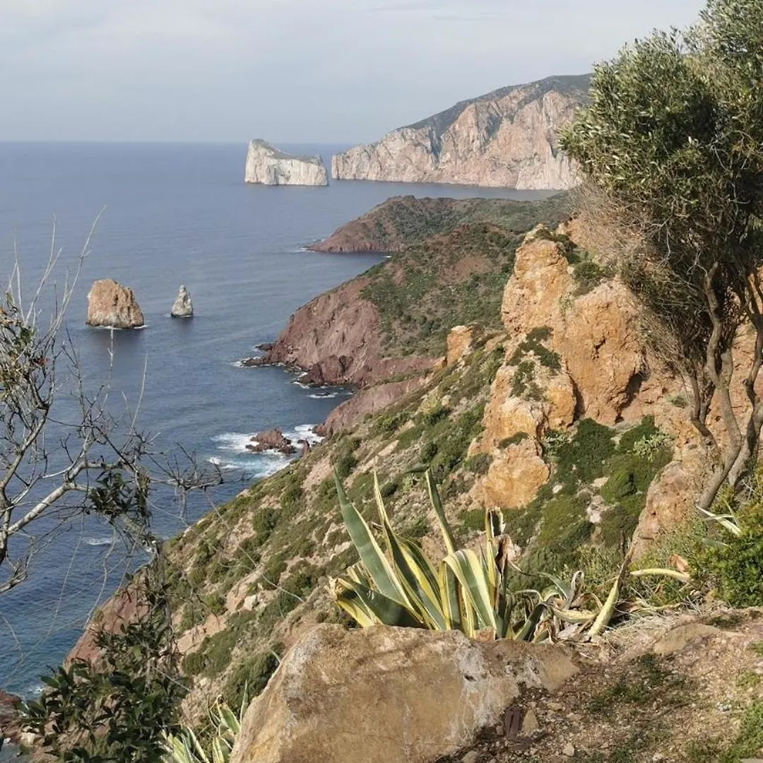 Vila La Mariposa Iglesias 0*,  Itálie